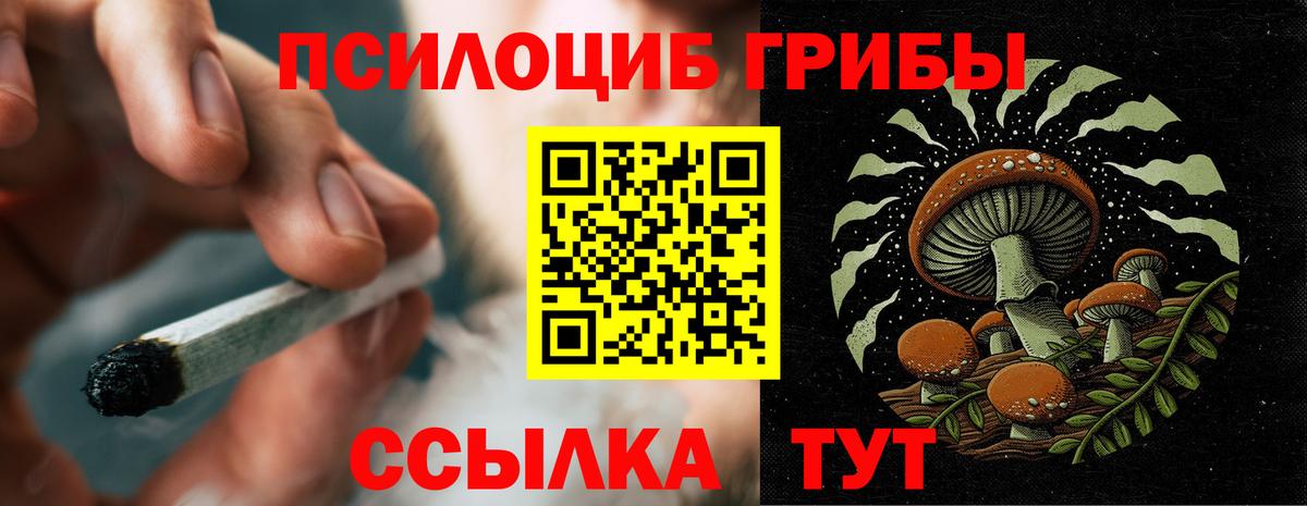 Псилоцибиновые грибы прущие грибы Заволжье