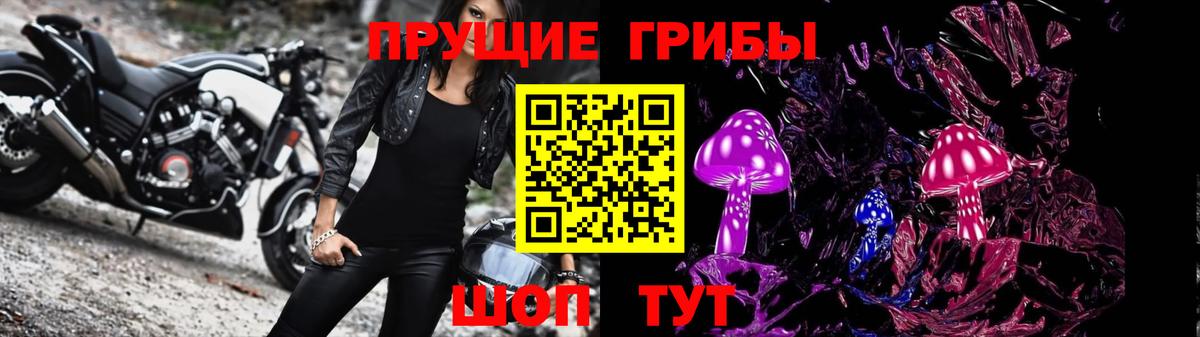 Псилоцибиновые грибы GOLDEN TEACHER  Вход с VPN  Заволжье 