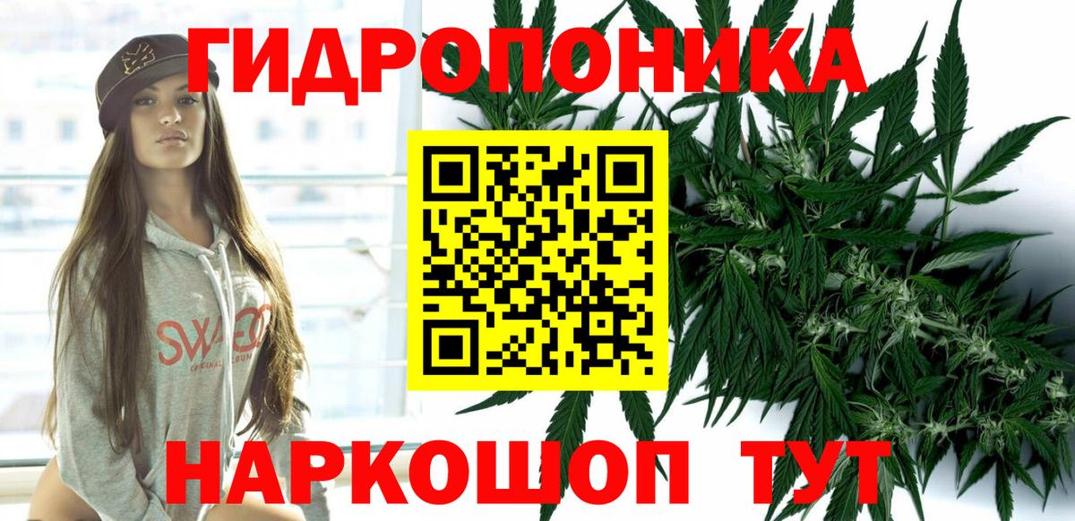 Канабис гибрид  Бошки Шишки AK-47  Вход с VPN  Заволжье  Бошки Шишки Amnesia  Бошки Шишки ГИДРОПОН 